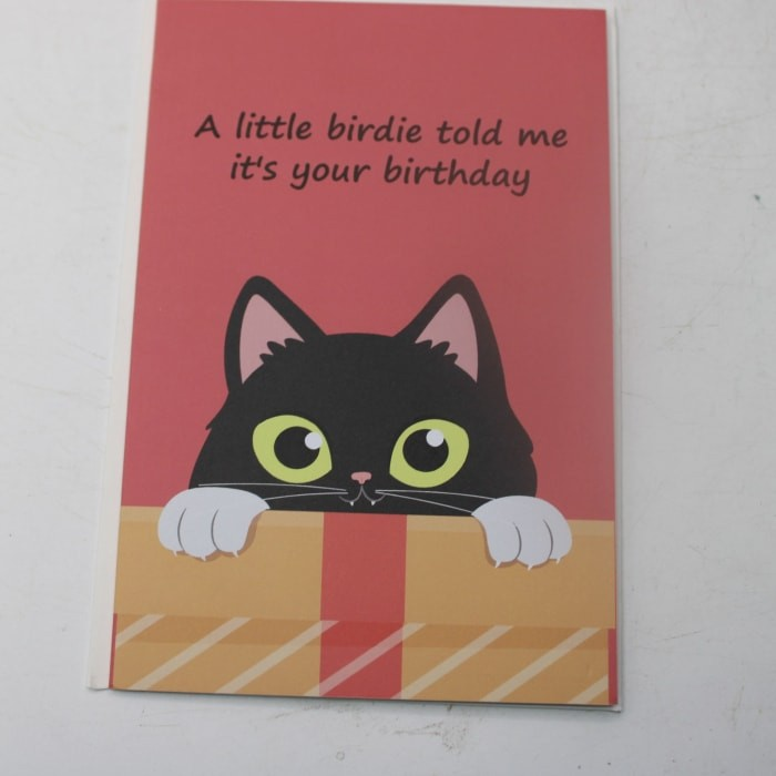 Greetings Card Happy Birthday Pop Up Tuxedo Cat