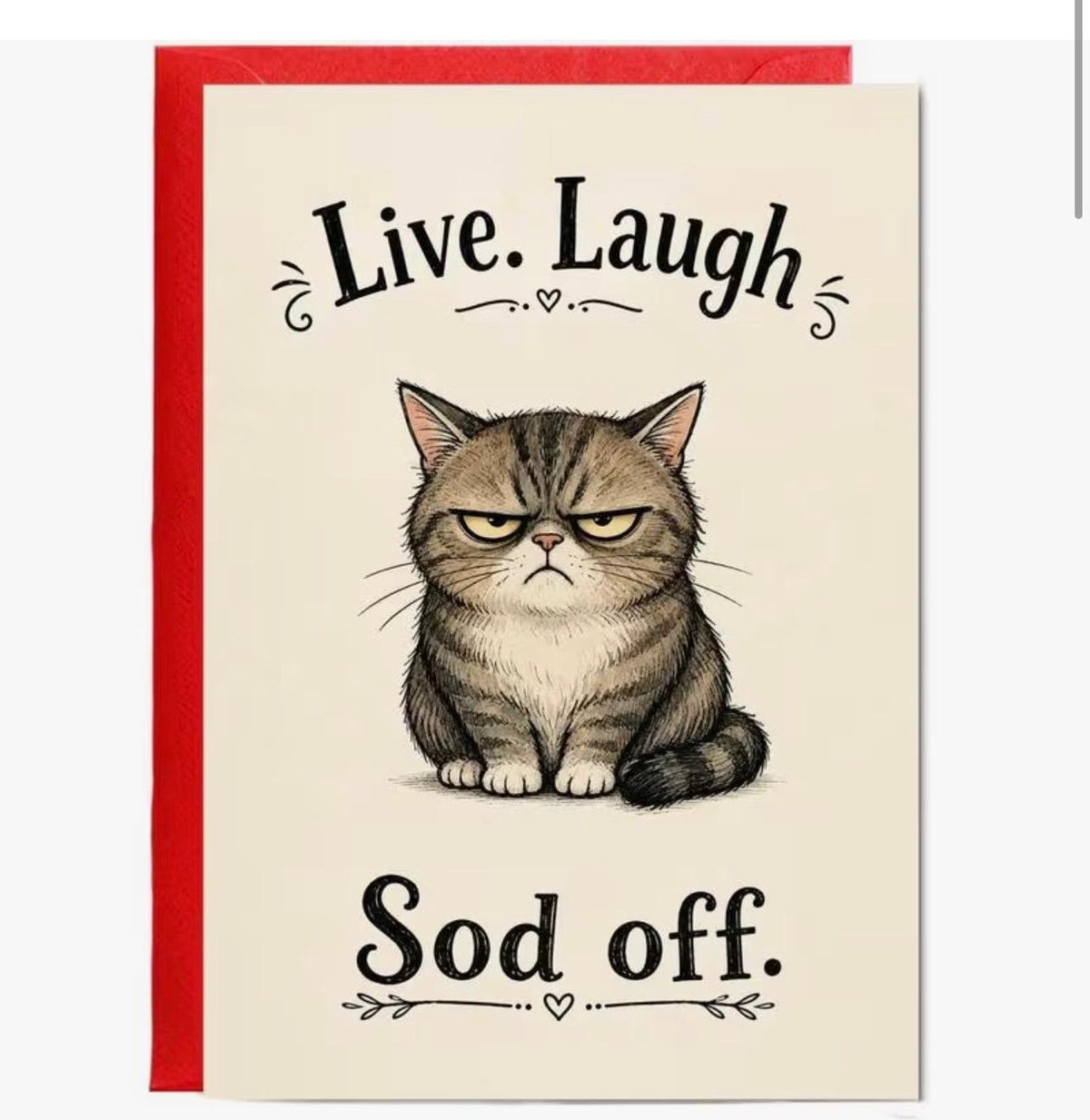 A6 Funny Cat Greetings Card