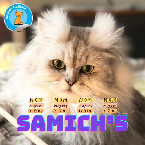 YCR Bertie Samich’s Fridge Magnet