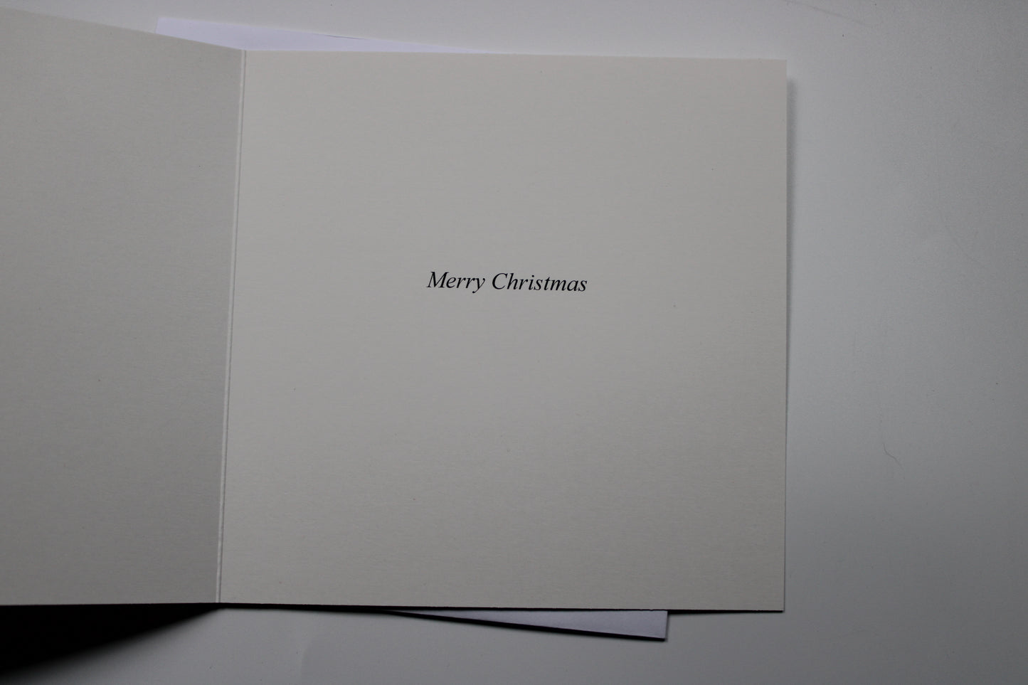 Christmas Card Cute Cat