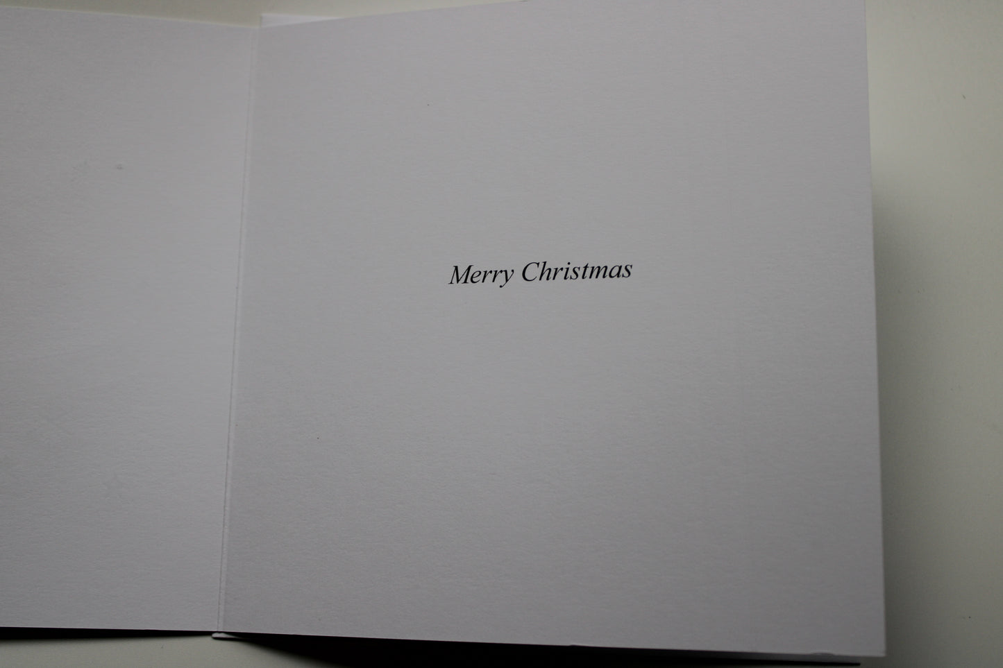 Christmas Card Dove