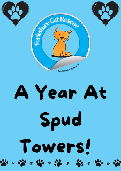A Year At Spud Towers 2025 Calendar