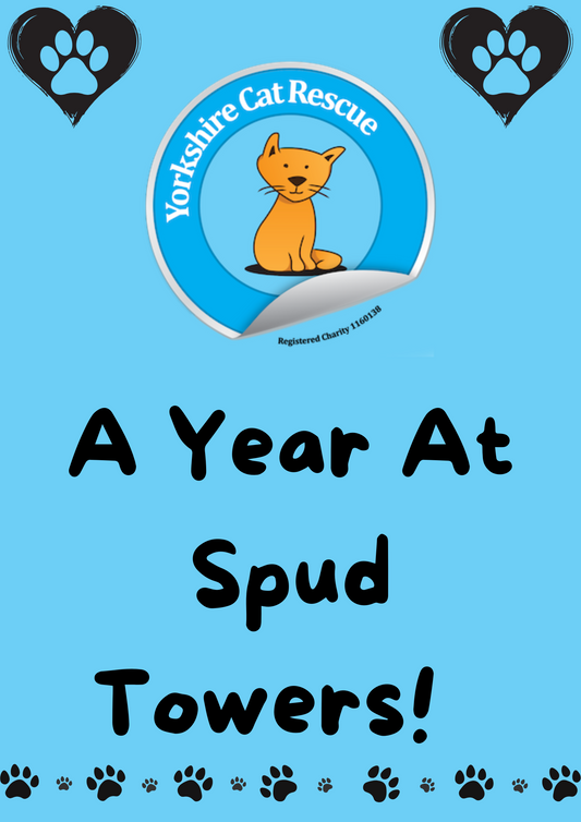 A Year At Spud Towers 2025 Calendar