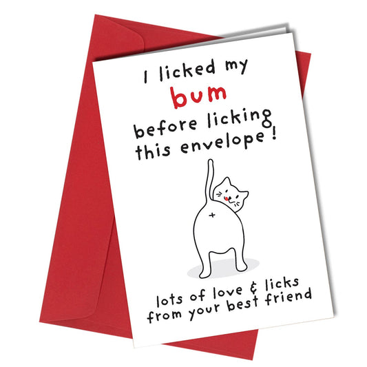 Greetings Card Birthday Card From The Cat
