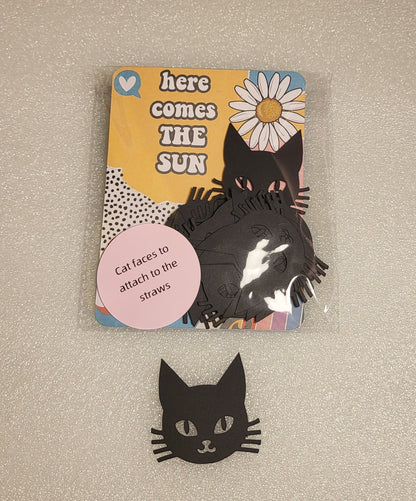 25 pcs Cat Straw Making Kit