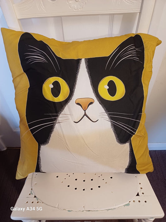 Cute B&W Cat Cushion