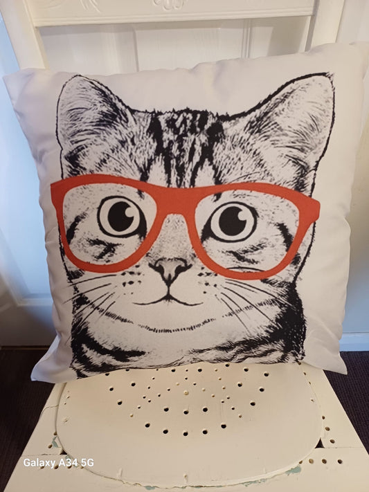Cute Cat With Glasses Cushion