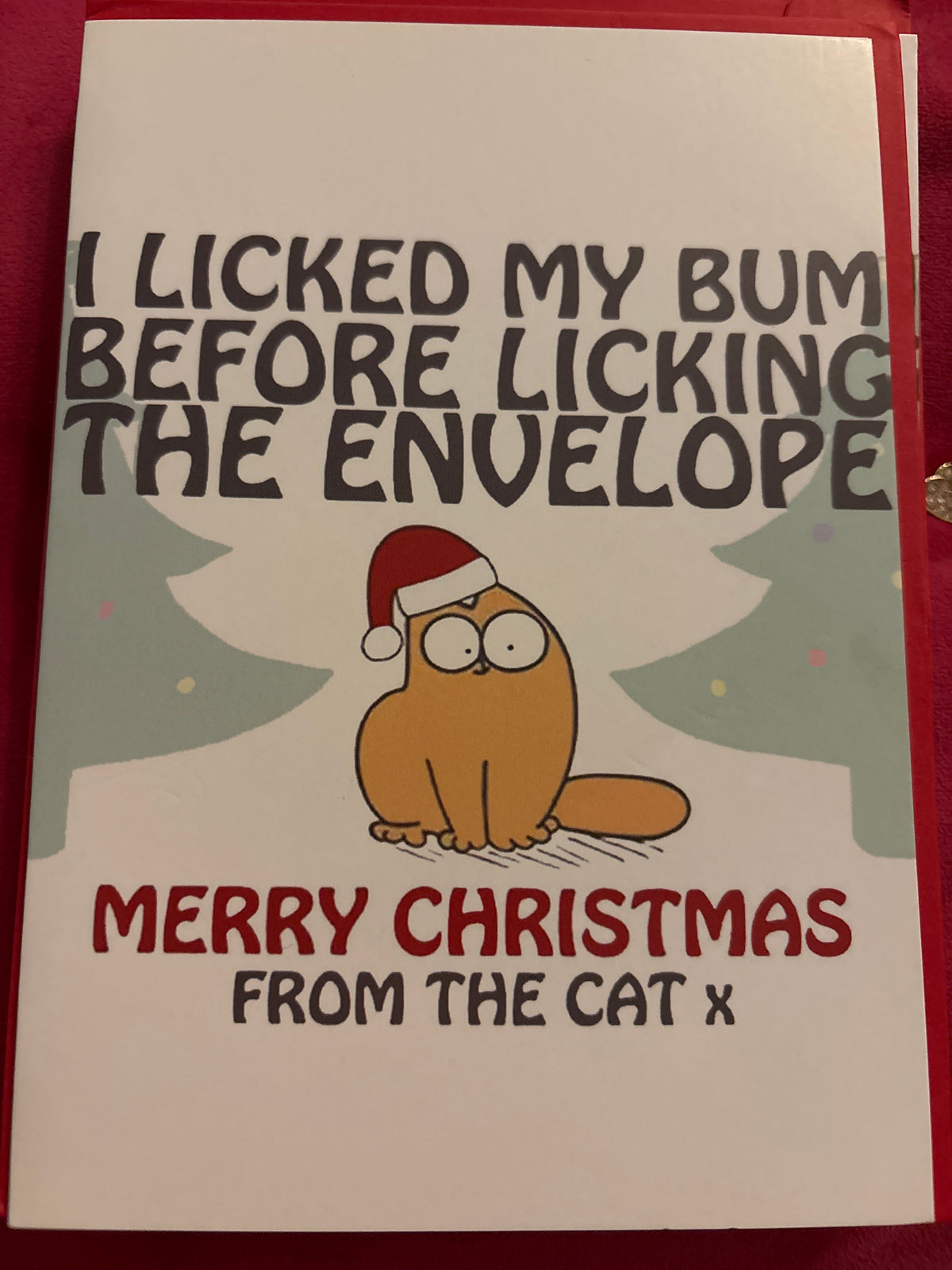 Funny Merry Christmas From The Cat Card