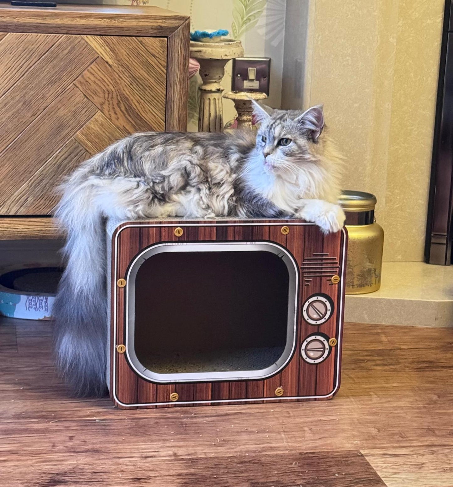 Fun Cat TV Scratching Bed