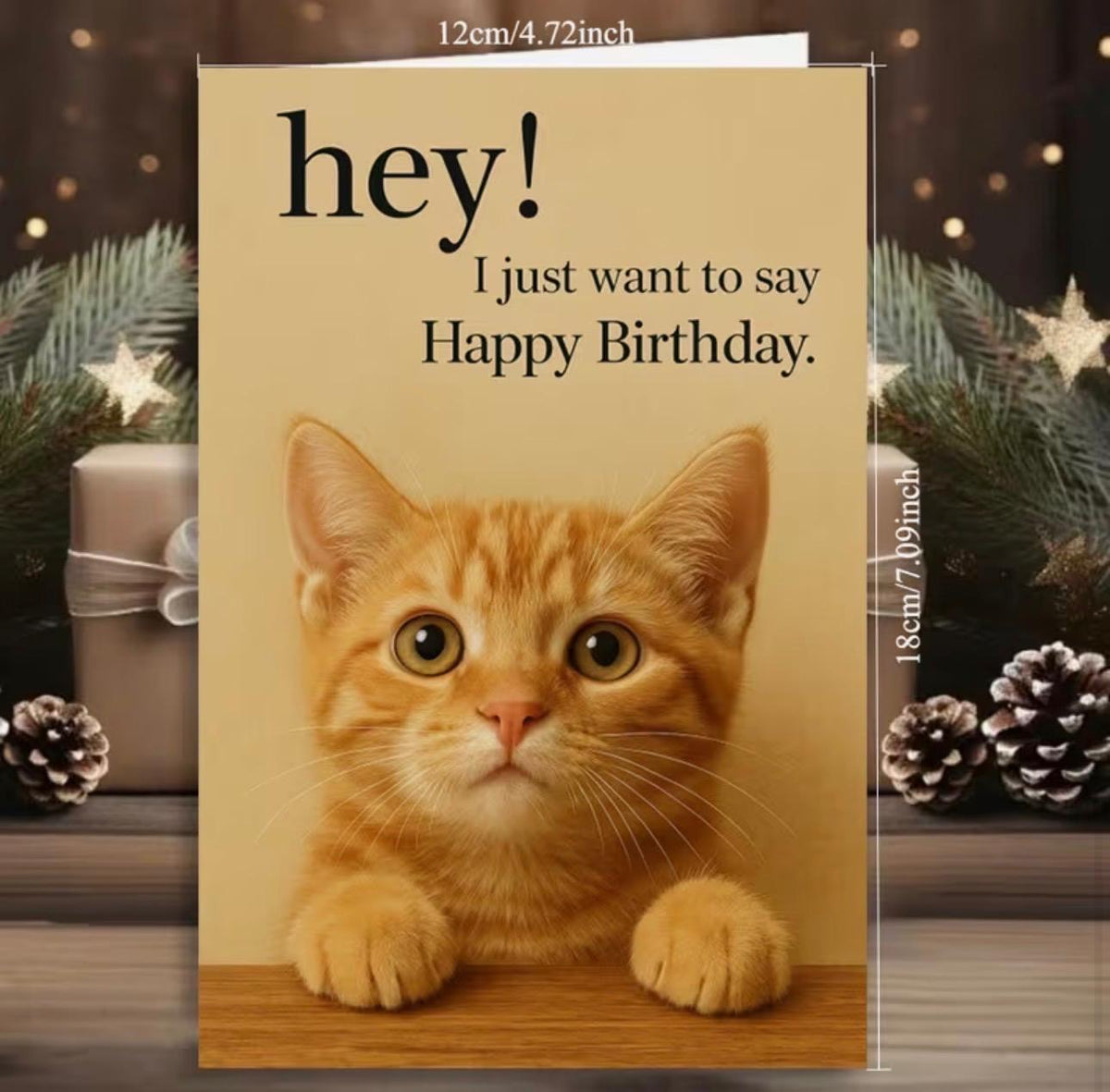 Ginger Cat Birthday Card