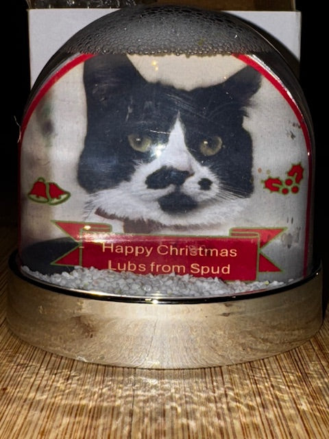 Spud Snow Globe