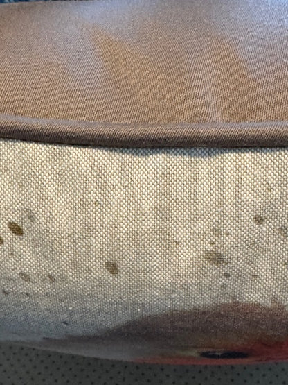 Robin Scatter Cushion