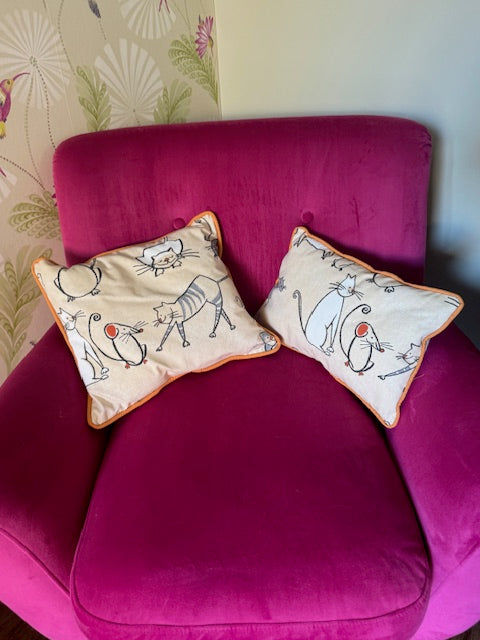 Funny Cat Cushion Duo