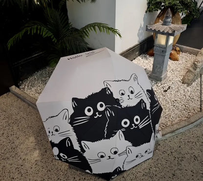 Beautiful Cat Umbrella's