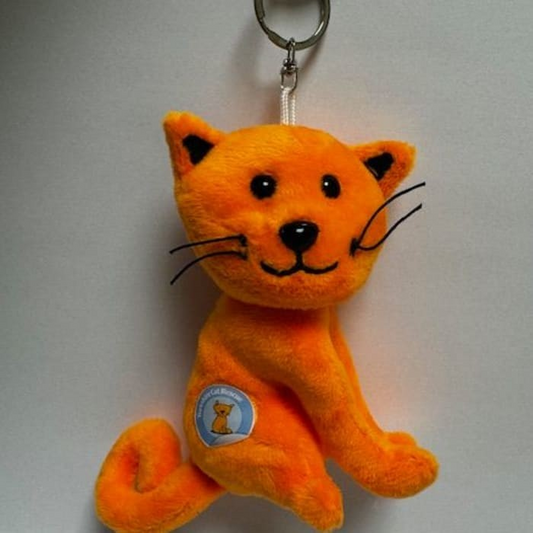 YCR Large Cat Keyring